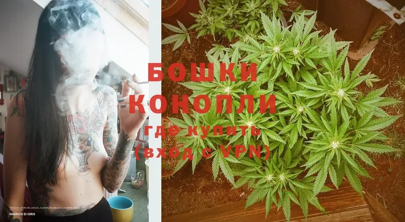 наркотики  Красавино  Шишки марихуана THC 21% 